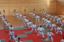 Karate-Nachwuchslehrgang